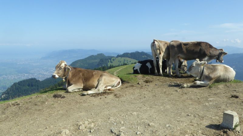 Hohe Kugel_250819_033